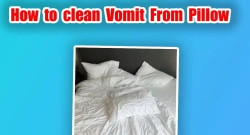 vomit on pillow