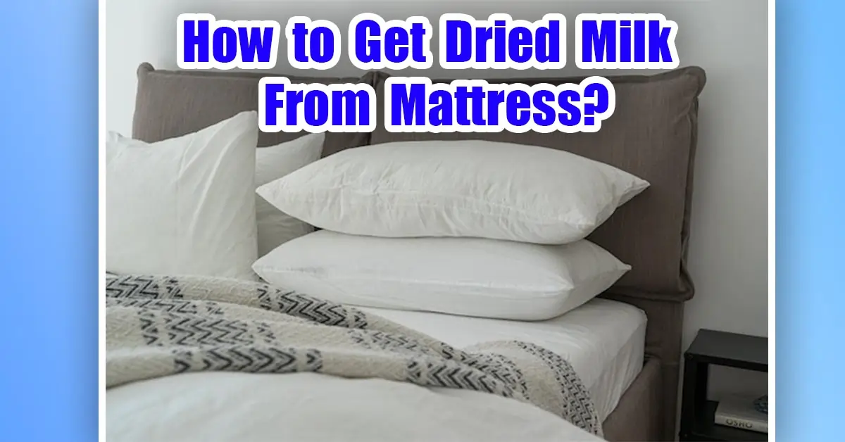 4 Ways to Remove Dried Milk From Mattress
