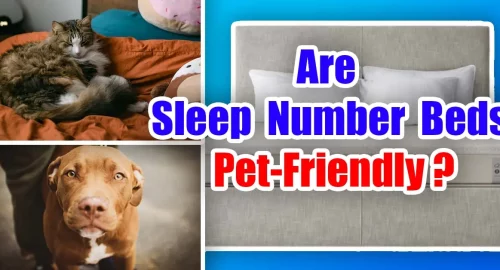 are sleep number beds pet-friendly