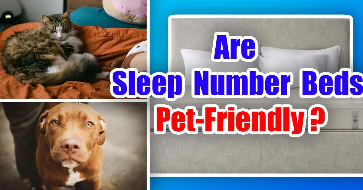 are sleep number beds pet-friendly
