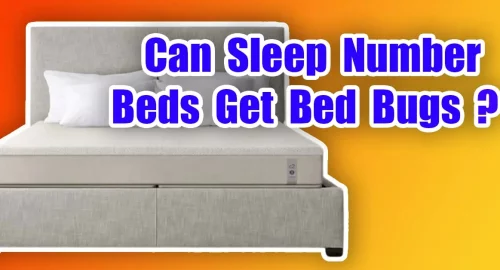 Can Sleep Number Beds Get Bed Bugs