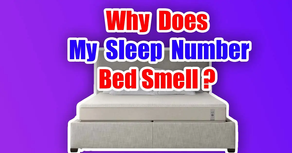 Why Does My Sleep Number Bed Smell (Reasons & Solution) 2023