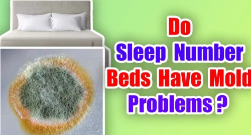 Do Sleep Number Beds Have Mold Problems?