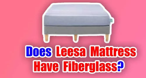 Does Leesa Mattress Have Fiberglass?